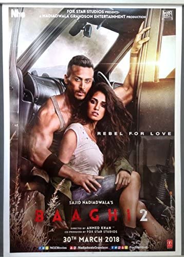 Baaghi 2 2018 2695 Poster.jpg